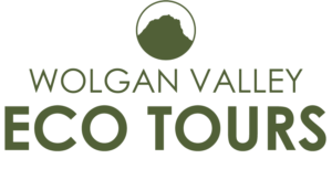 Wolgan Valley Eco Tours logo